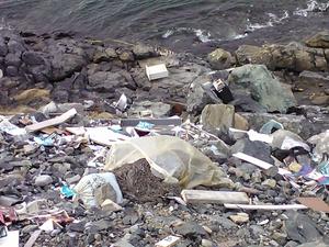 Trash dumped over the bank by the Battery in Fogo