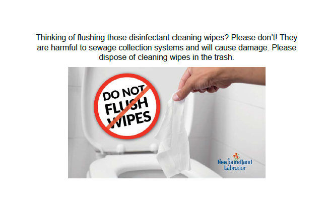 flushing issues